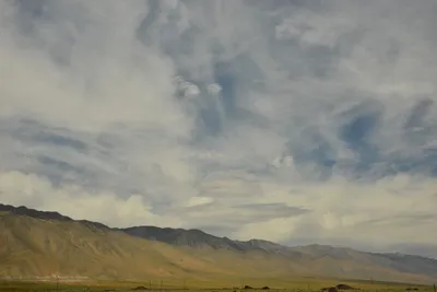 DSC_6579 (Large).JPG